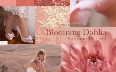 Ispiration Board Blooming Dahlia