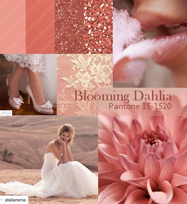 Ispiration Board Blooming Dahlia